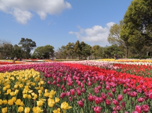 国営木曽三川公園 国営木曽三川公園